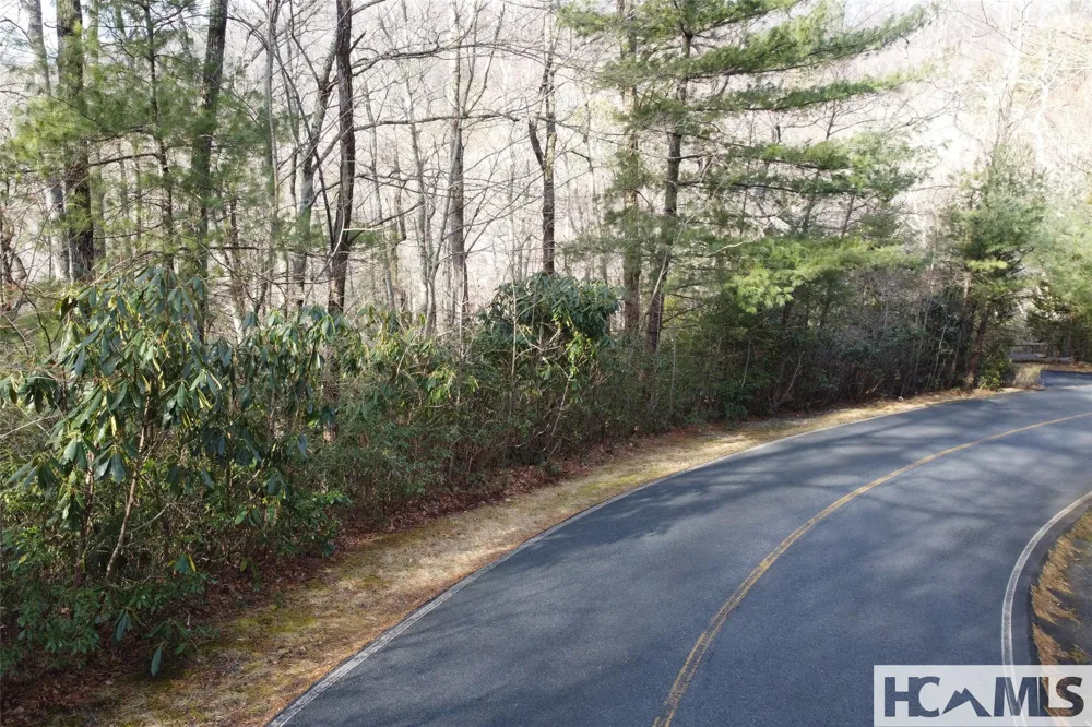 Lot 40 Buckberry Drive Sapphire, NC 28774