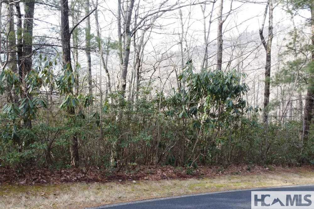 Lot 40 Buckberry Drive Sapphire, NC 28774