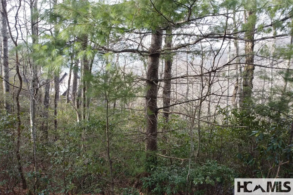Lot 40 Buckberry Drive Sapphire, NC 28774