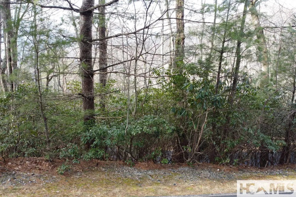 Lot 40 Buckberry Drive Sapphire, NC 28774