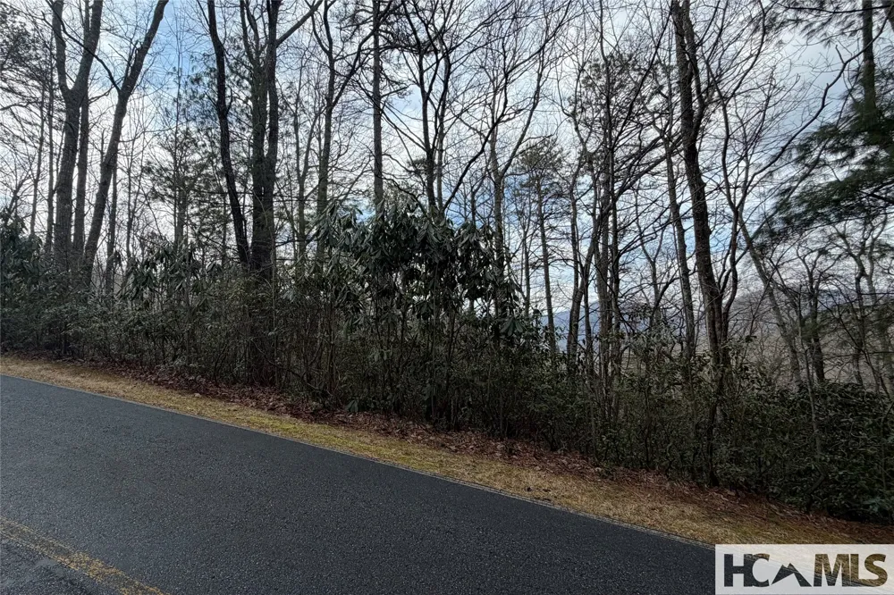 Lot 40 Buckberry Drive Sapphire, NC 28774