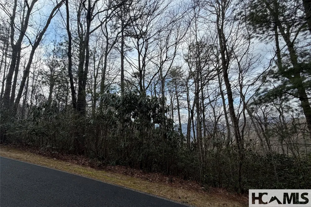 Lot 40 Buckberry Drive Sapphire, NC 28774