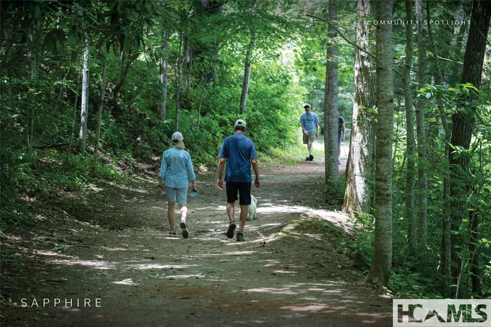 Lot 40 Buckberry Drive Sapphire, NC 28774