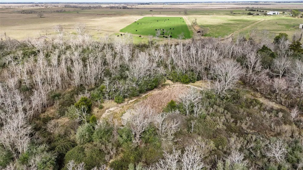 County Road 126 Van Vleck, TX 77482
