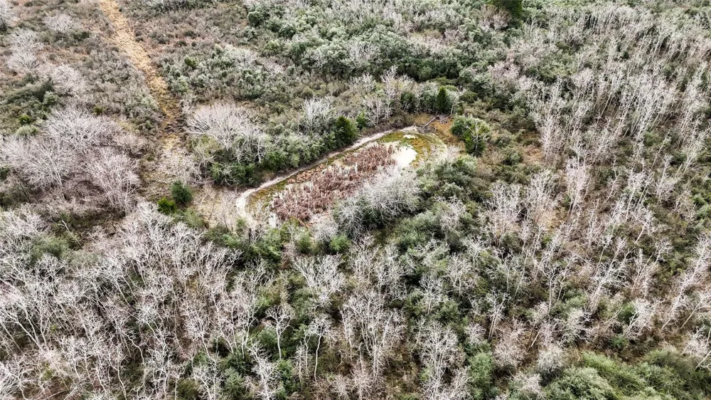 County Road 126 Van Vleck, TX 77482