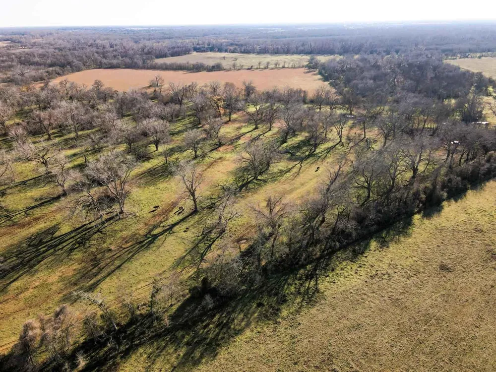 1458 Fm-1458 Pattison, TX 77423