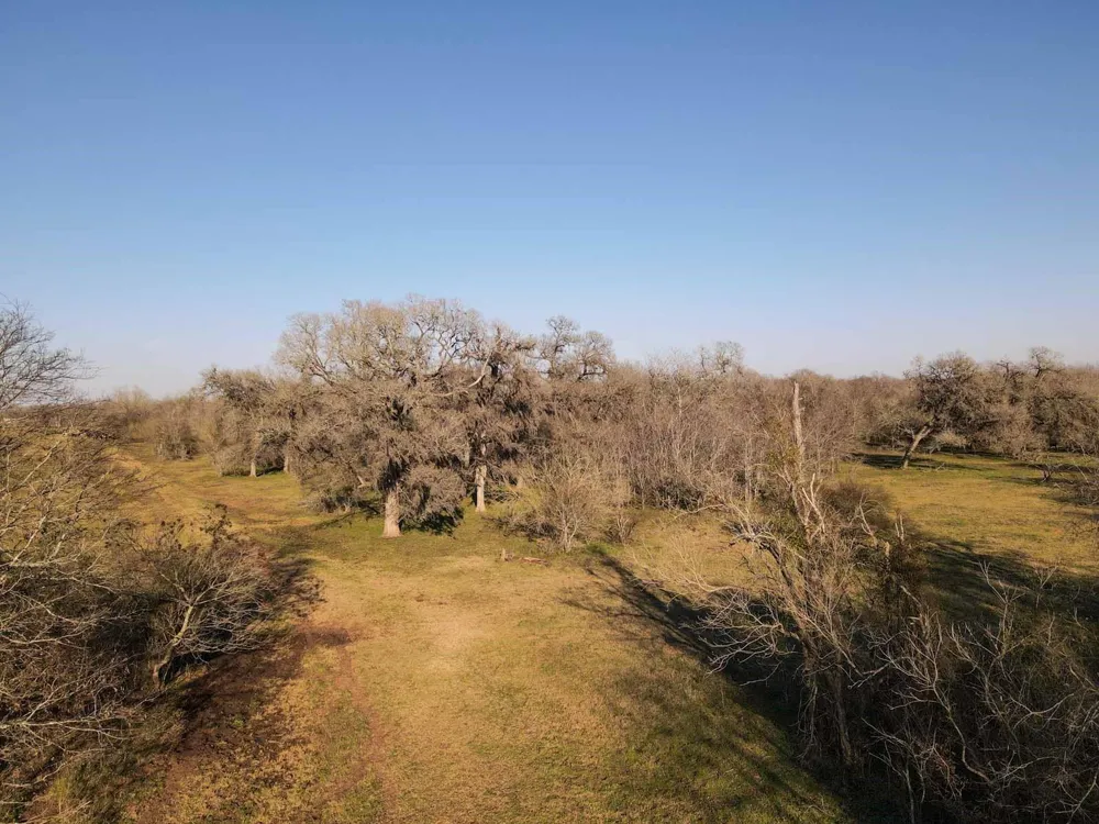 1458 Fm-1458 Pattison, TX 77423