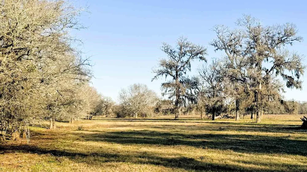 1458 Fm-1458 Pattison, TX 77423