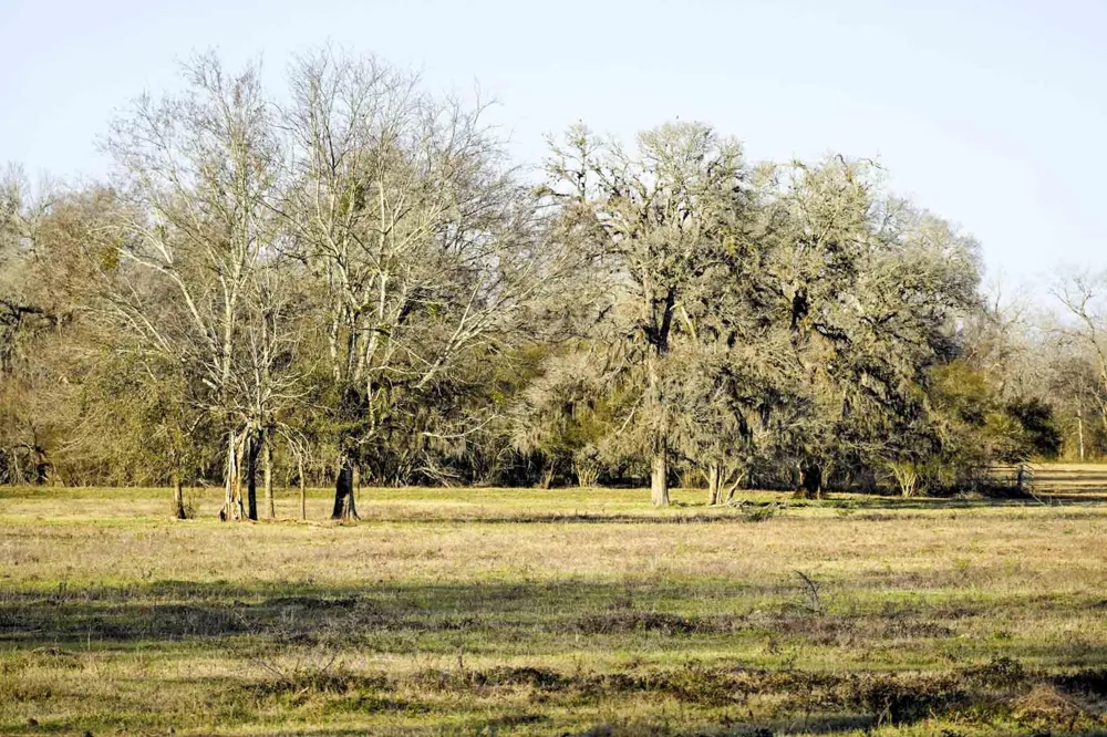 1458 Fm-1458 Pattison, TX 77423