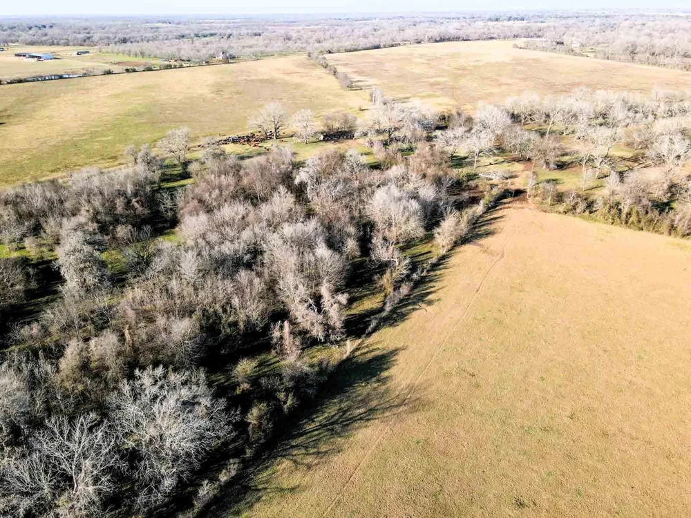 1458 Fm-1458 Pattison, TX 77423