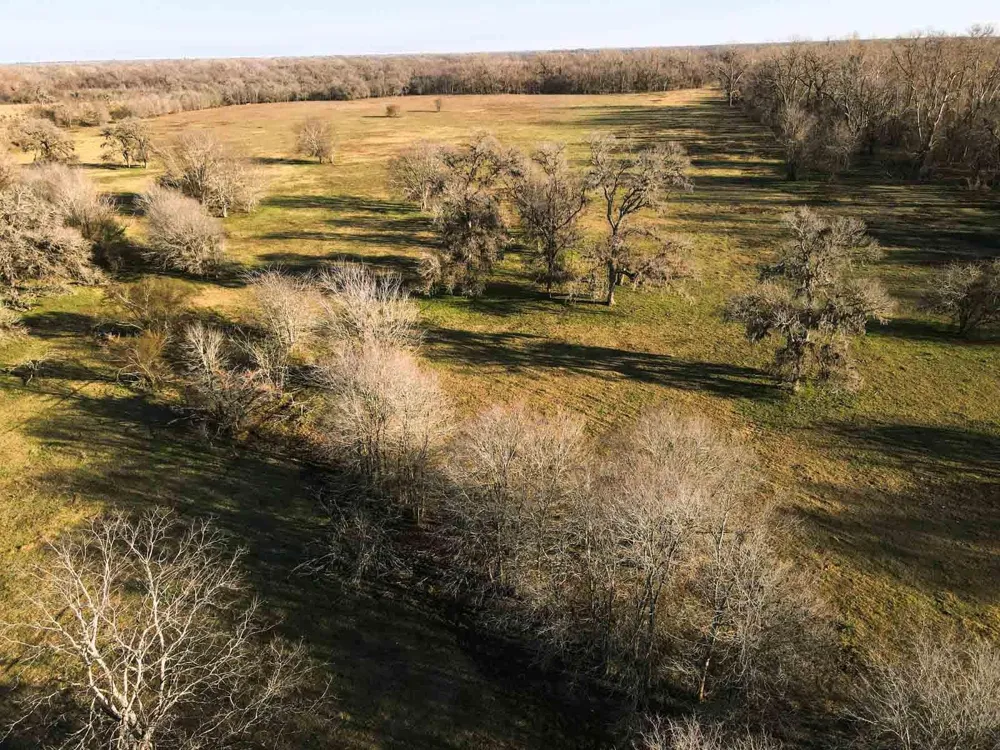 1458 Fm-1458 Pattison, TX 77423