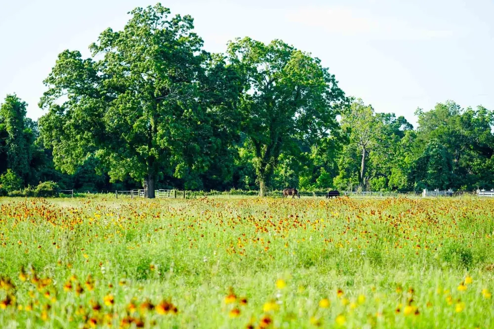 1458 Fm-1458 Pattison, TX 77423