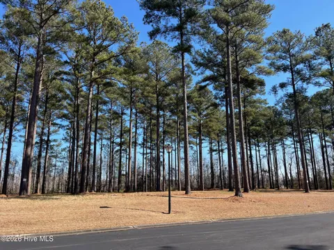 23 Bald Head Island Court S