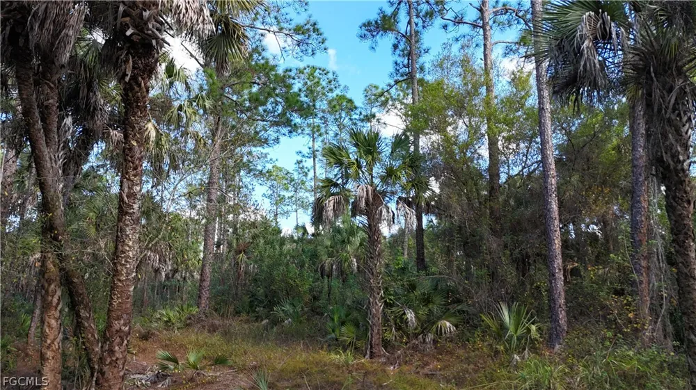  Naples, FL 34117