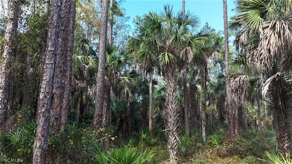  Naples, FL 34117