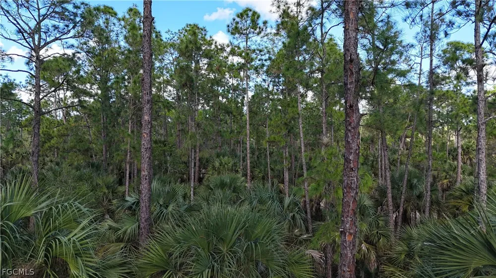  Naples, FL 34117