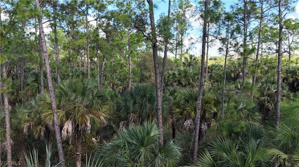  Naples, FL 34117