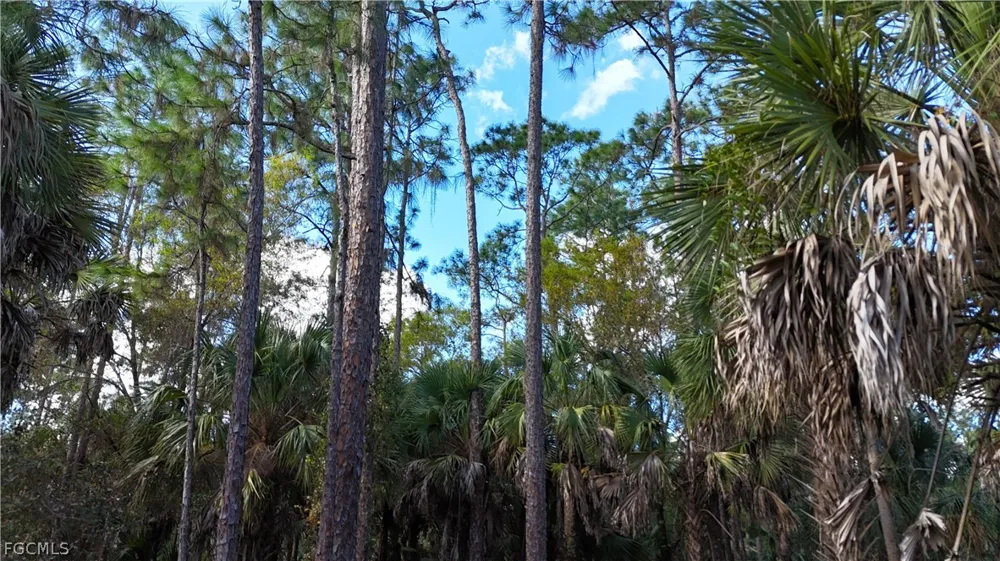  Naples, FL 34117