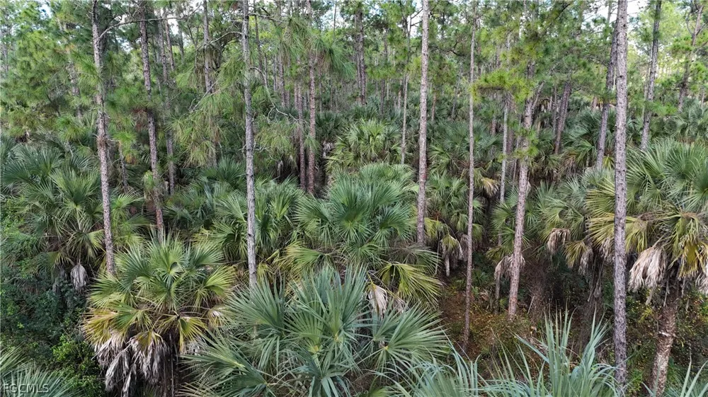  Naples, FL 34117