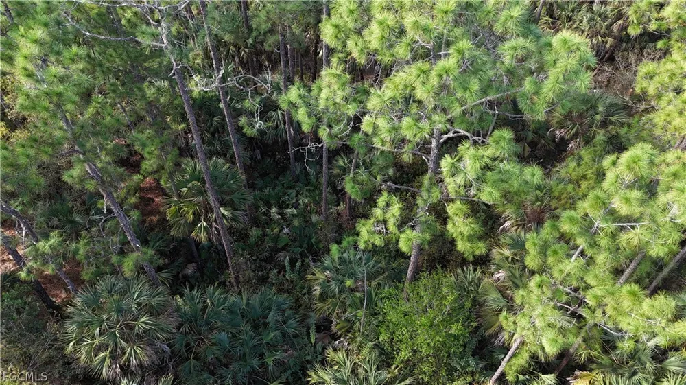  Naples, FL 34117