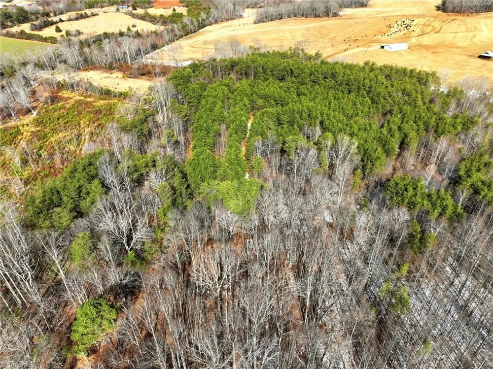 0 Nc Highway 704 W Lawsonville, NC 27022