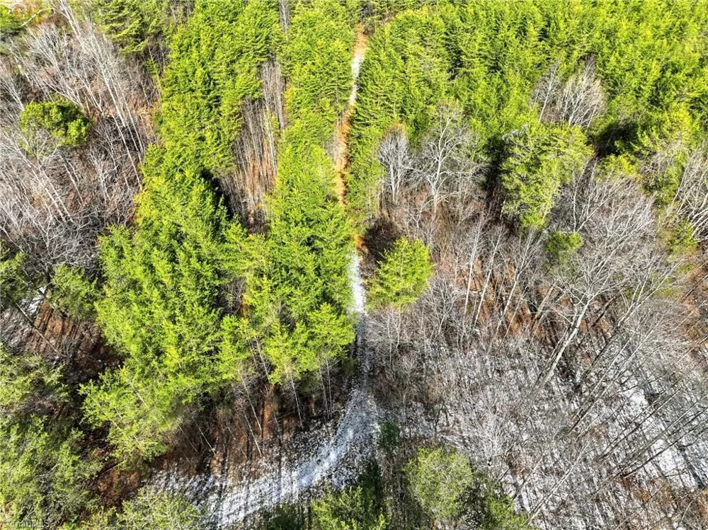 0 Nc Highway 704 W Lawsonville, NC 27022