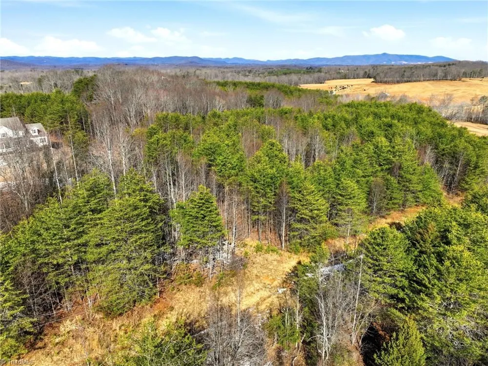 0 Nc Highway 704 W Lawsonville, NC 27022