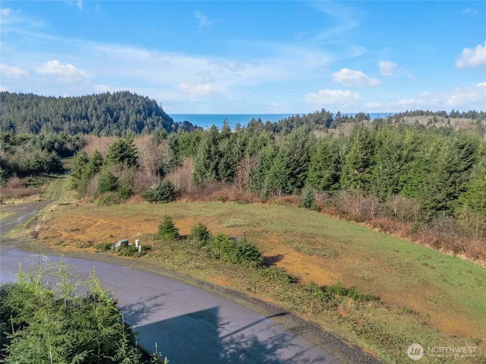 3038 Ocean View Court Ilwaco, WA 98624