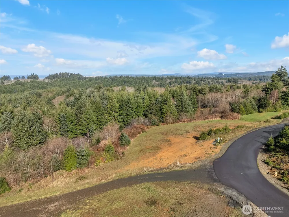3038 Ocean View Court Ilwaco, WA 98624