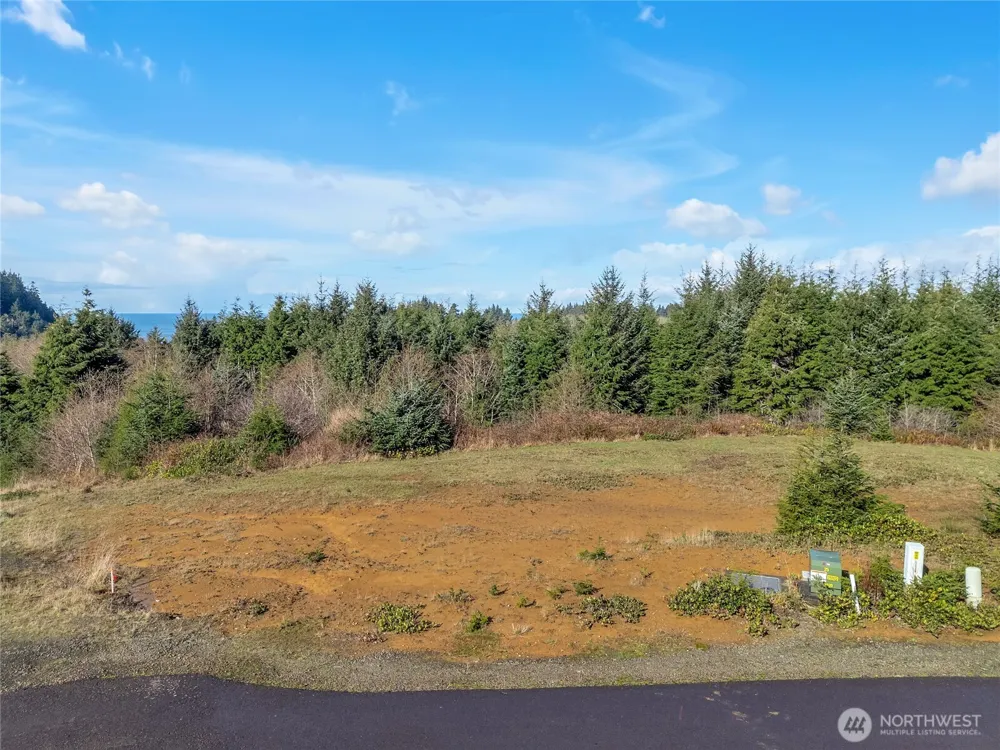3038 Ocean View Court Ilwaco, WA 98624