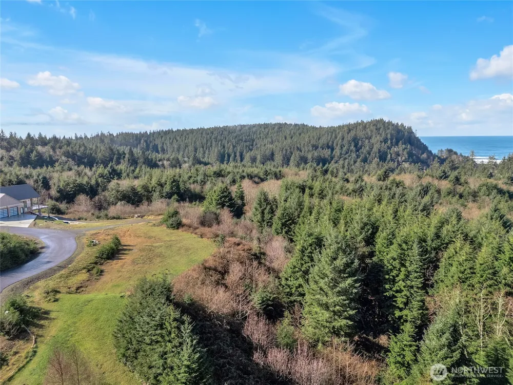 3038 Ocean View Court Ilwaco, WA 98624