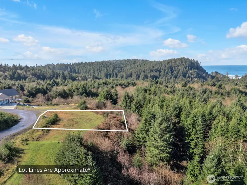 3038 Ocean View Court Ilwaco, WA 98624