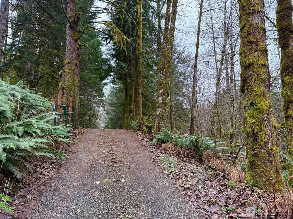 192 W Arrowhead Drive Elma, WA 98541