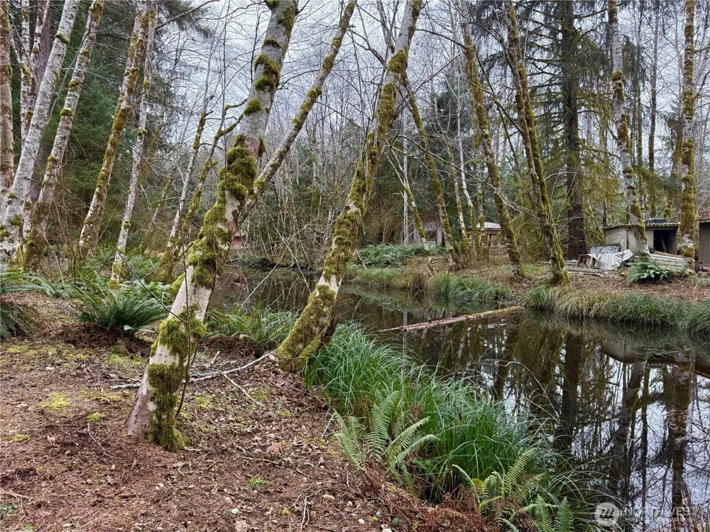 192 W Arrowhead Drive Elma, WA 98541