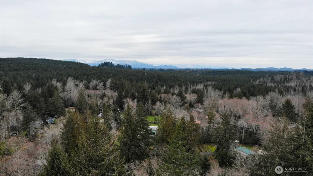 192 W Arrowhead Drive Elma, WA 98541