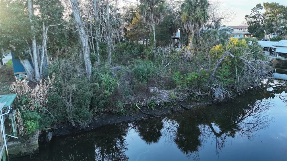 12 SE 241ST STREET Suwannee, FL 32692
