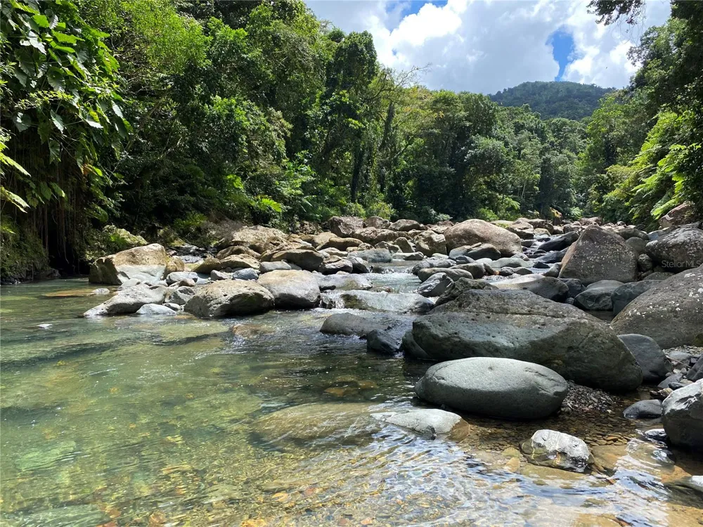 968 CAMINO LAS PICUAS #14 Rio Grande, PR 00745