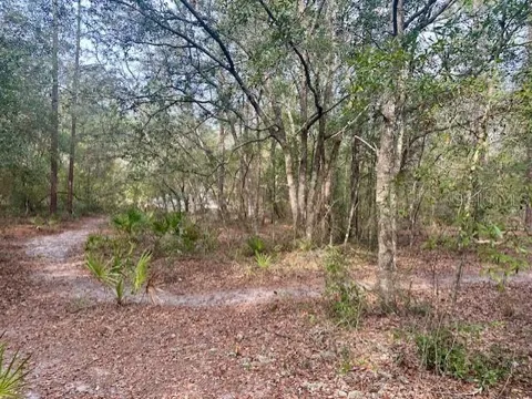 NW 11TH AVENUE