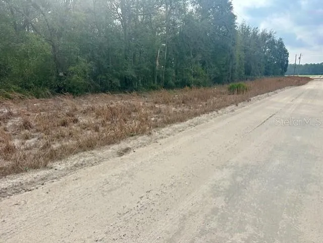 NW 11TH AVENUE Bell, FL 32619