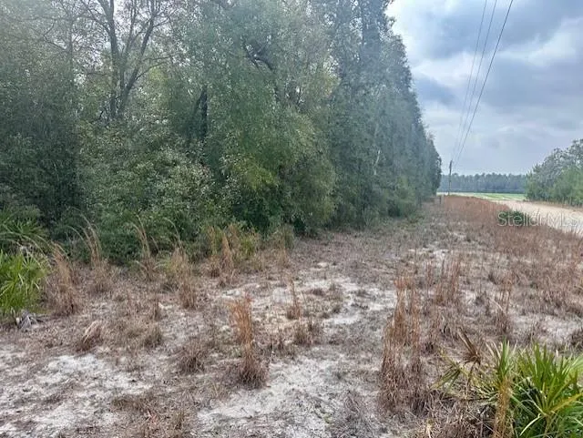 NW 11TH AVENUE Bell, FL 32619