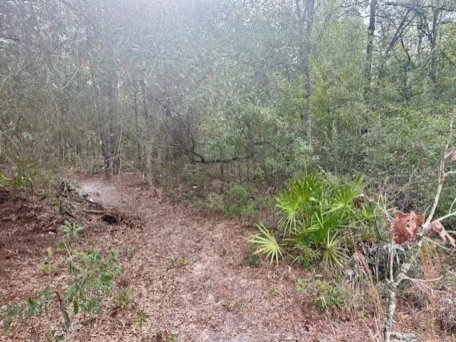 NW 11TH AVENUE Bell, FL 32619