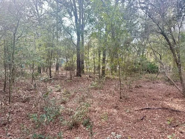 NW 11TH AVENUE Bell, FL 32619