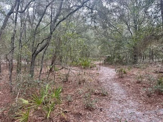 NW 11TH AVENUE Bell, FL 32619