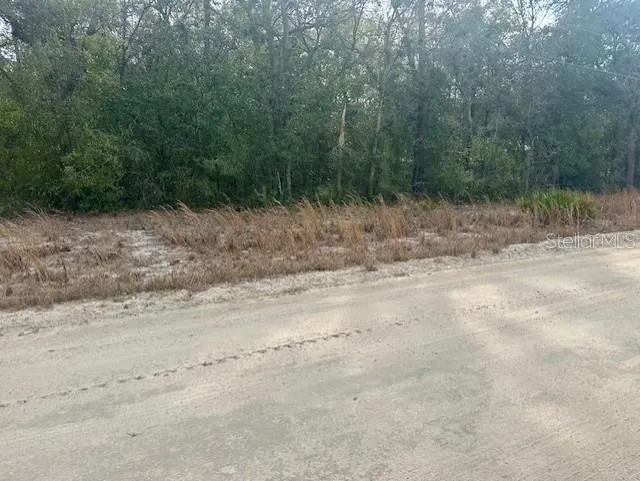 NW 11TH AVENUE Bell, FL 32619