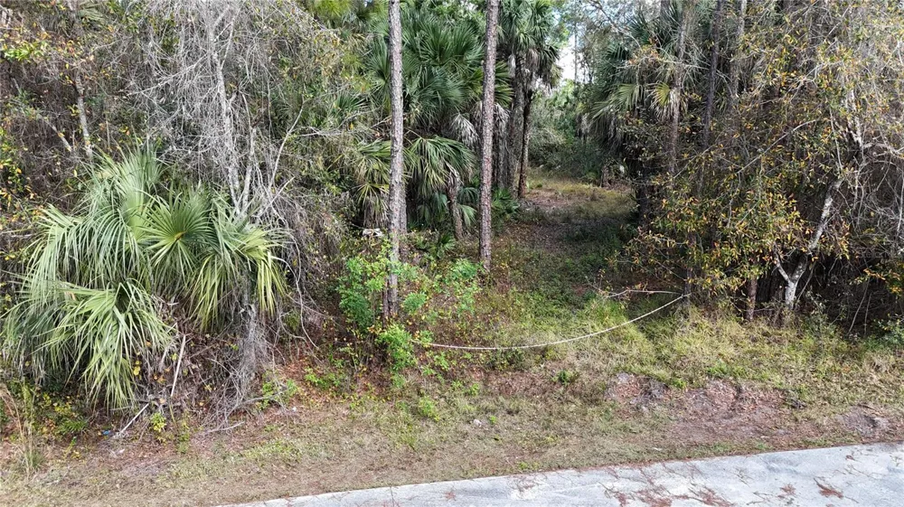 16TH AVE SE Naples, FL 34117