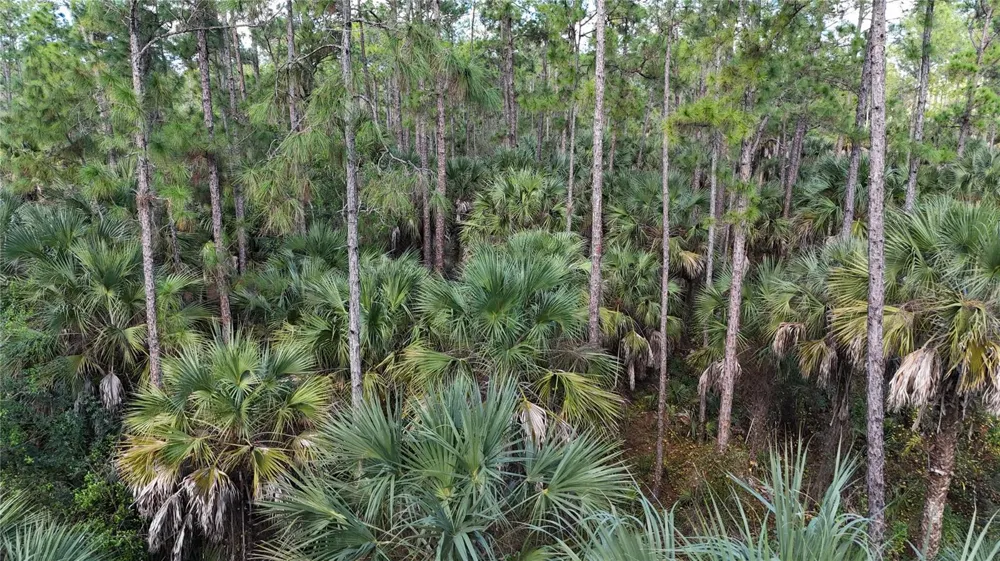 16TH AVE SE Naples, FL 34117