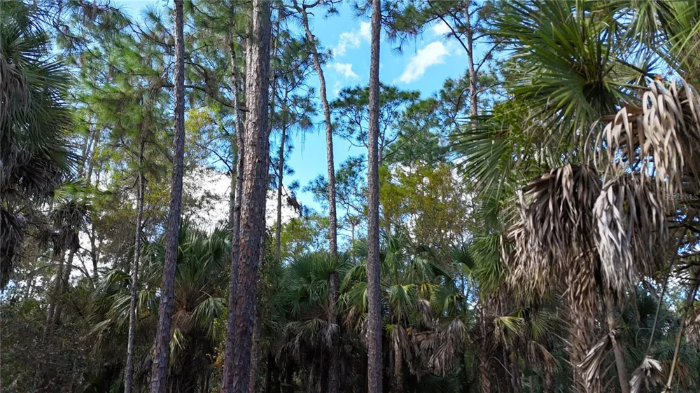 16TH AVE SE Naples, FL 34117