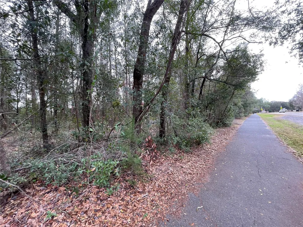 8717 SW ARCHER ROAD Gainesville, FL 32608