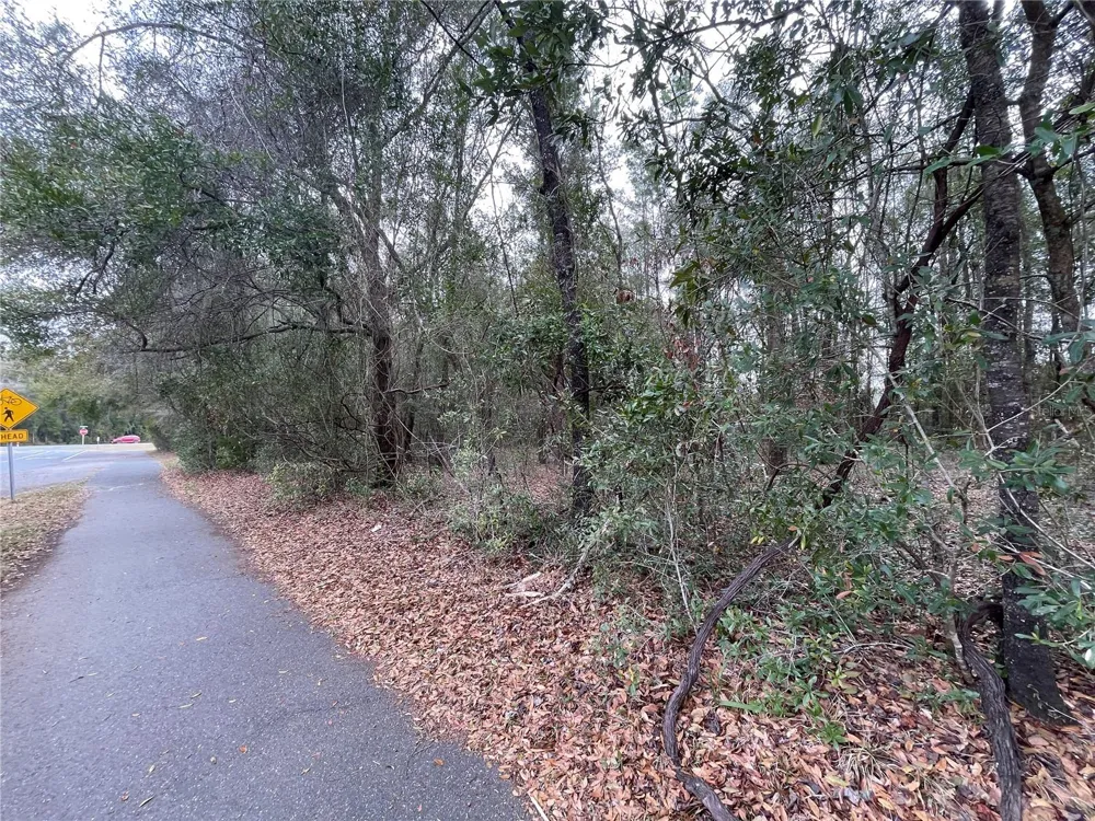8717 SW ARCHER ROAD Gainesville, FL 32608