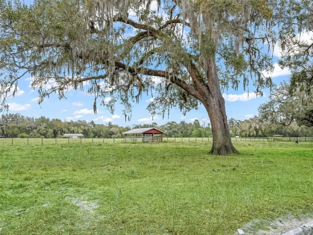 4430 CR 542H Bushnell, FL 33513